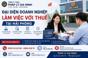 Đại Diện Doanh Nghiệp Làm Việc Với Thuế Tại Hải phòng